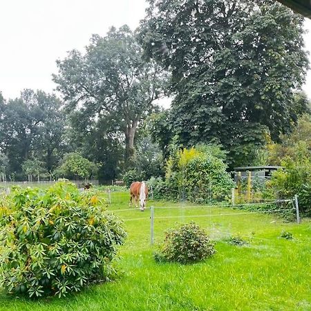 Urlaub In Unserem „Kleinen Haus“ Nindorf  Exteriör bild